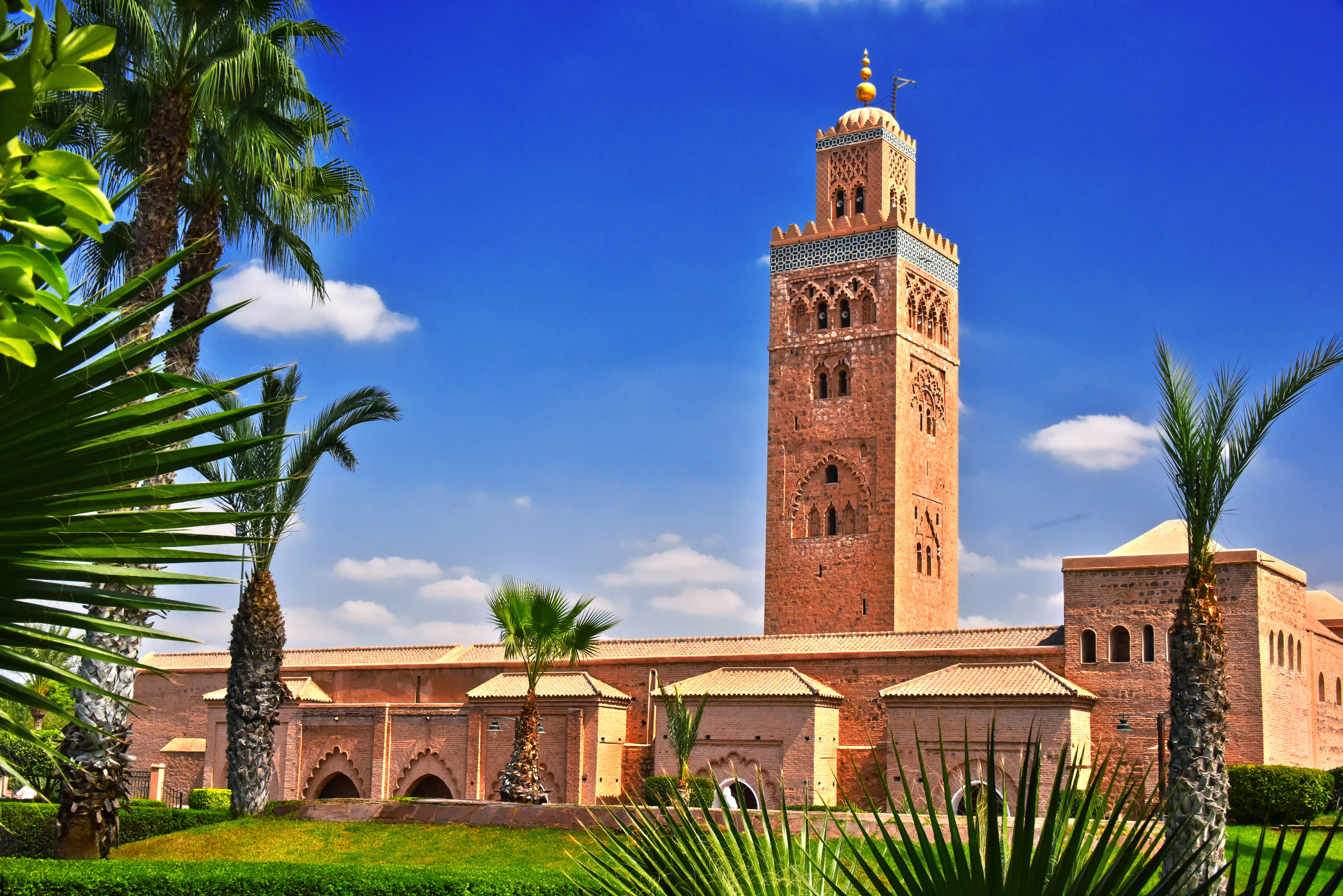 News Marrakech